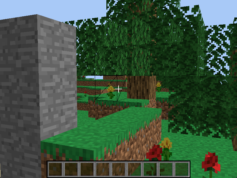 Picture of Real Minecraft